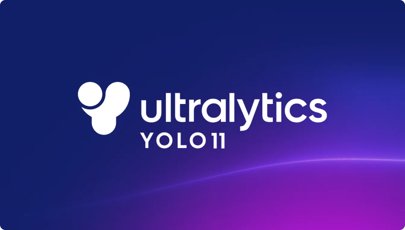 YOLO11